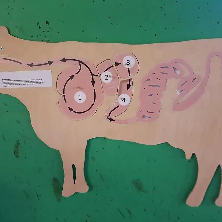 Ferien Im Gugger شقة Nesslau