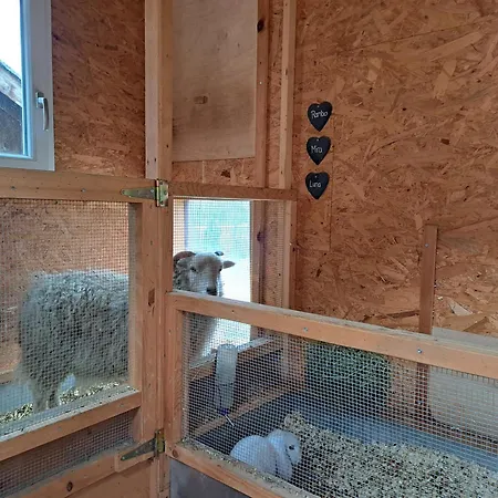 Ferien Im Gugger Apartman *