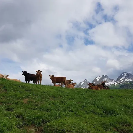 Ferien Im Gugger Apartman Nesslau