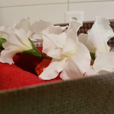 Ferien Im Gugger Apartman Nesslau